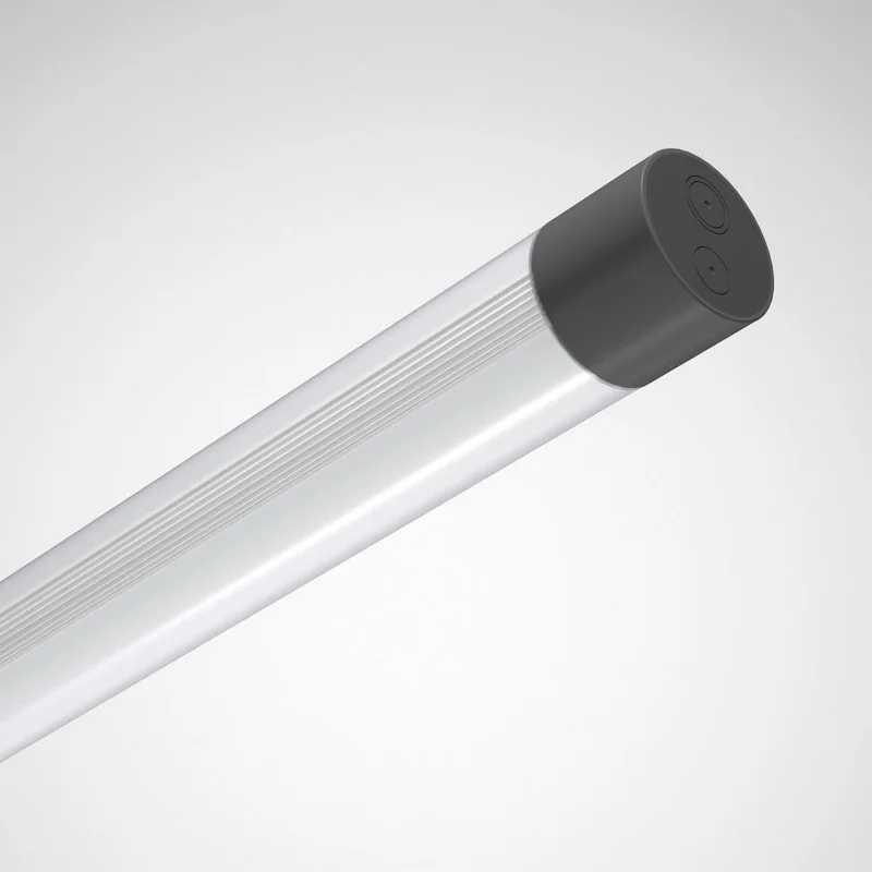 2026_06_01_925871