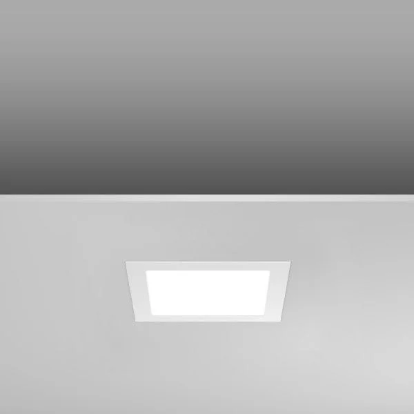 2026_06_02_1062281